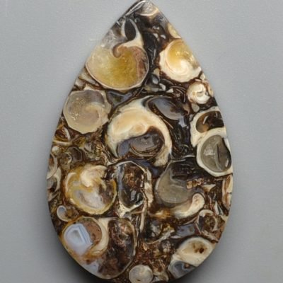 Turritella-agate-36.23-ct.jpg