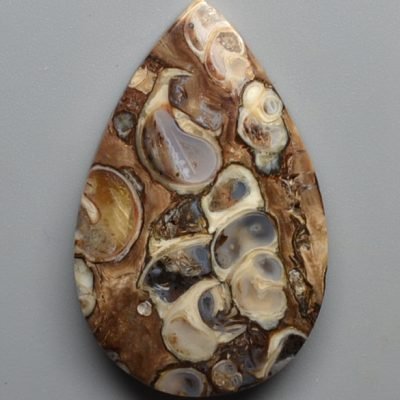 Turritella-agate-37.06-ct.jpg