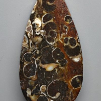 Turritella-agate-39.31-ct.jpg