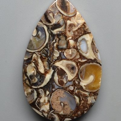 Turritella-agate-39.80-ct.jpg