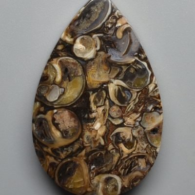 Turritella-agate-39.81-ct.jpg