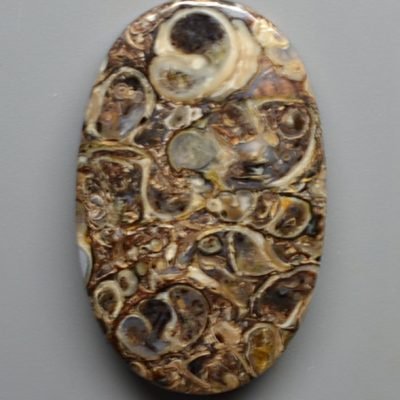 Turritella-agate-42.51-ct.jpg