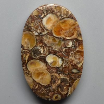 Turritella-agate-42.57-ct.jpg