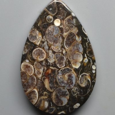 Turritella-agate-45.31-ct.jpg