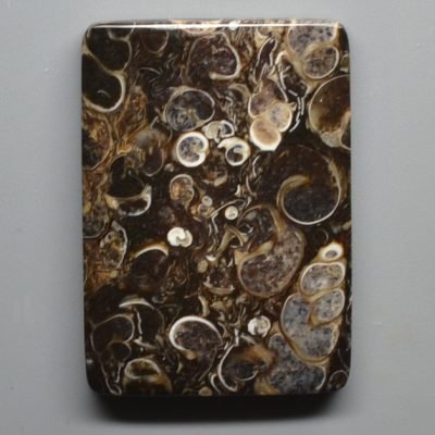 Turritella-agate-46.30-ct.jpg
