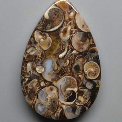 Turritella-agate-46.62-ct.jpg