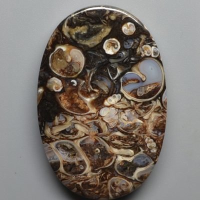Turritella-agate-49.86-ct.jpg