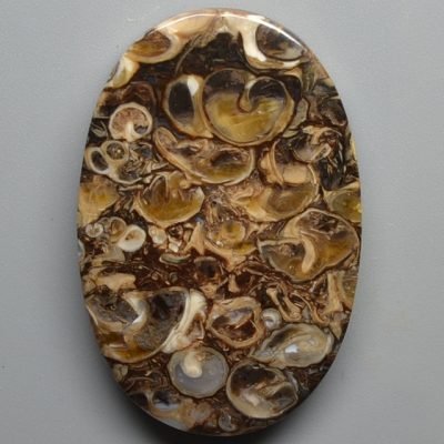 Turritella-agate-54.55-ct.jpg