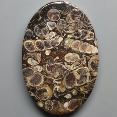 Turritella-agate-64.02-ct.jpg