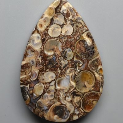 Turritella-agate-68.93-ct.jpg