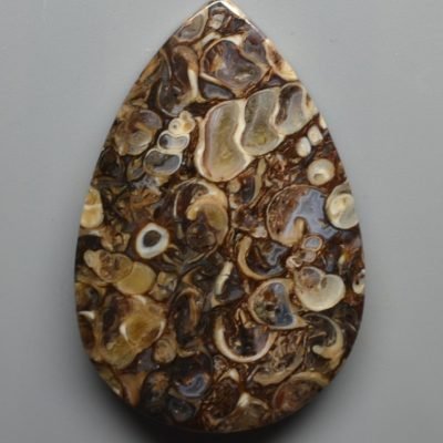Turritella-agate-80.00-ct.jpg