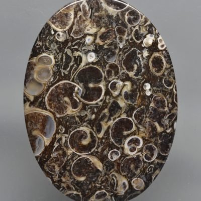 Turritella-agate-88.70-ct.jpg