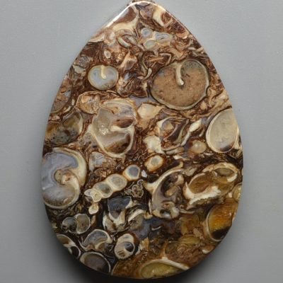 Turritella-agate-99.10-ct.jpg