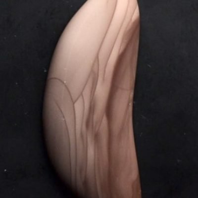 Willow-Creek-jasper-23.38-ct.jpg
