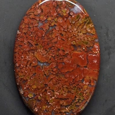 Y30404.jpg