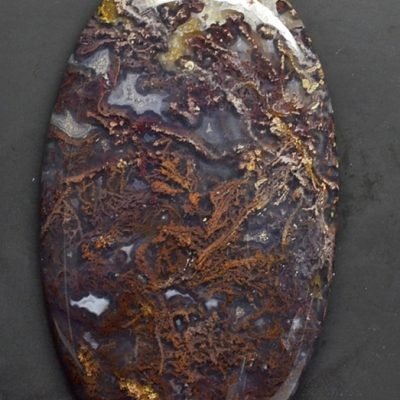 Y30423.jpg