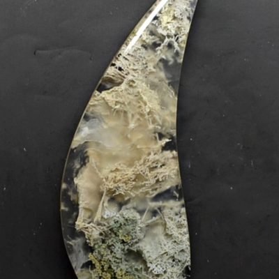 Y30434.jpg