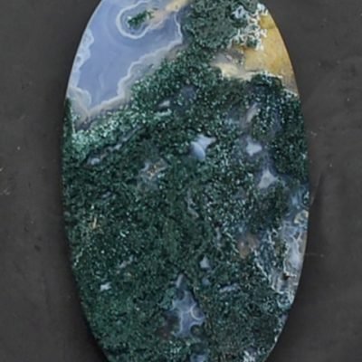 Y30443-1.jpg