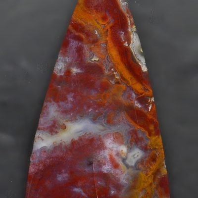 Y30461.jpg