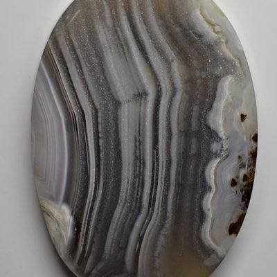 Y31229.jpg