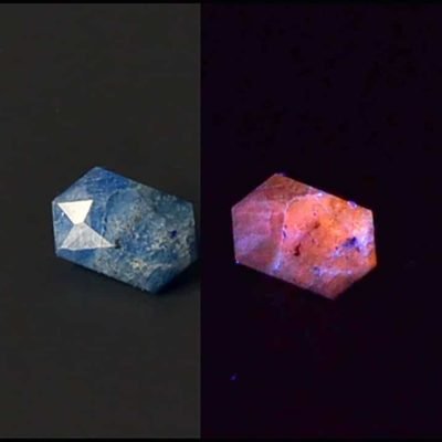 Y5690.jpg