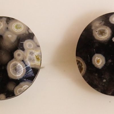 Y8582.jpg