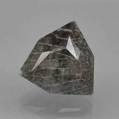 bryozoans-4.80-ct.-2.jpg