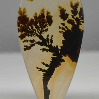 dendritic-agate-9.88-ct.jpg
