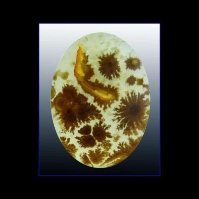 dendritic-agate-ct-11.11.jpg