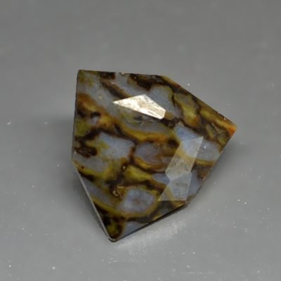 dinosaur-bone-1.93-ct.jpg