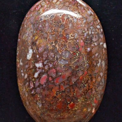 dinosaur-bone-114.55-ct.jpg