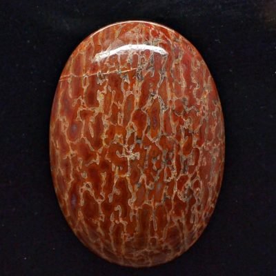 dinosaur-bone-39.39-ct.jpg
