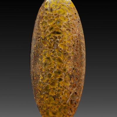 dinosaur-bone-39.51-ct.jpg