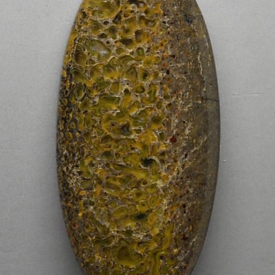 dinosaur-bone-42.57-ct.jpg