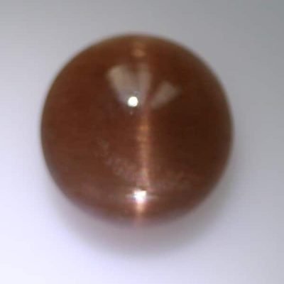 g1146.jpg