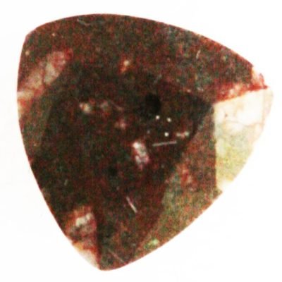 g6529.jpg
