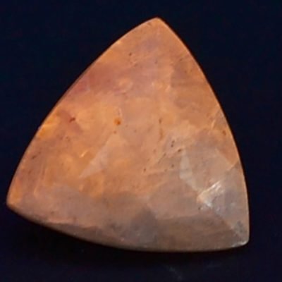 g8451.jpg