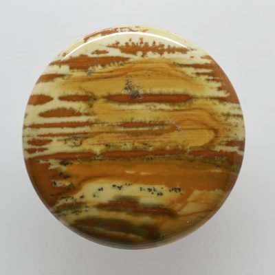 owyhee-jasper-53.30-ct.jpg