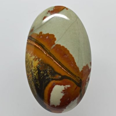 owyhee-jasper-56.48-ct-1.jpg