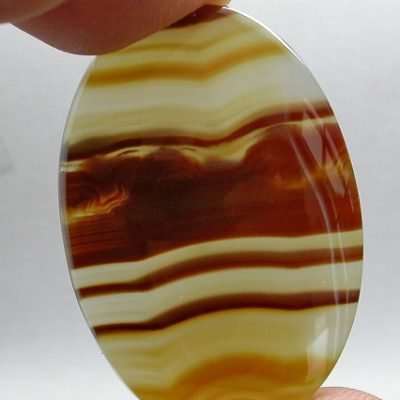 piranha-agate-ct.47.68.jpg