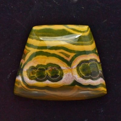 python-jasper-45.39-ct.jpg