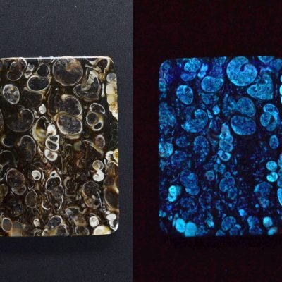 turritella-agate-53.43-ct._1.jpg