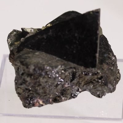 xl1008.jpg
