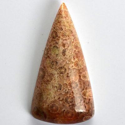 y10055.jpg