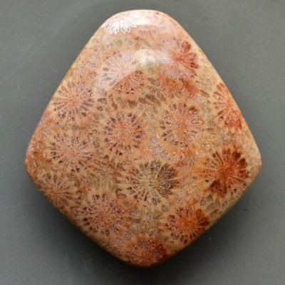 y10097.jpg