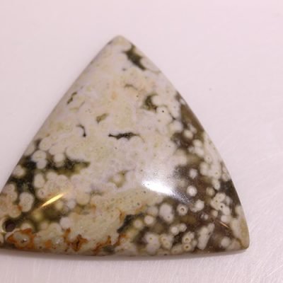 y10228.jpg