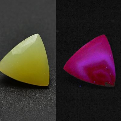 y11389.jpg
