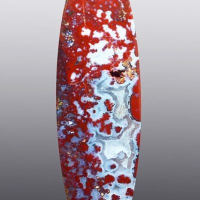y11499.jpg
