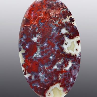 y11504.jpg