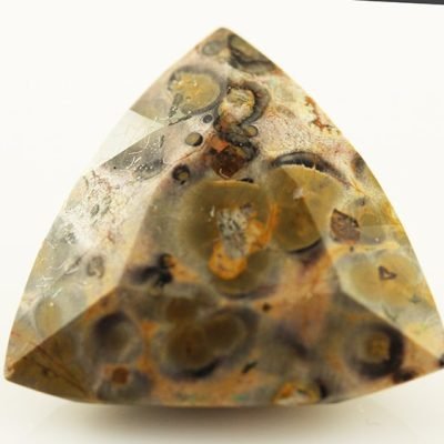 y11654.jpg